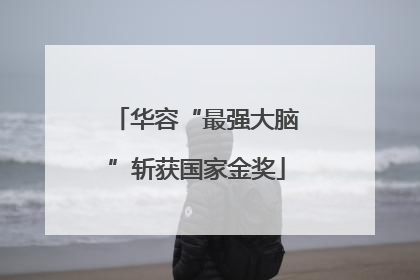 华容“最强大脑”斩获国家金奖