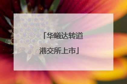 华曦达转道港交所上市
