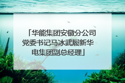 华能集团安徽分公司党委书记马冰武履新华电集团副总经理