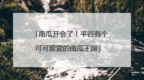 南瓜开会了！平谷有个可可爱爱的南瓜王国