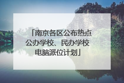 南京各区公布热点公办学校、民办学校电脑派位计划