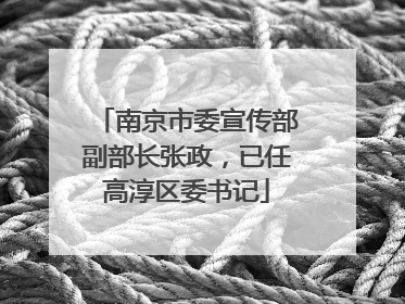 南京市委宣传部副部长张政，已任高淳区委书记