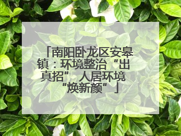 南阳卧龙区安皋镇：环境整治“出真招” 人居环境“焕新颜”