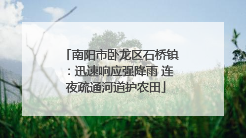 南阳市卧龙区石桥镇：迅速响应强降雨 连夜疏通河道护农田