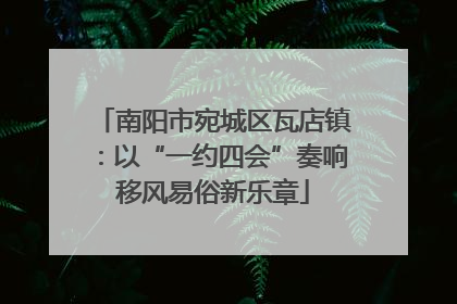 南阳市宛城区瓦店镇：以“一约四会”奏响移风易俗新乐章