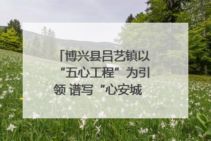 博兴县吕艺镇以“五心工程”为引领 谱写“心安城市”建设新篇章