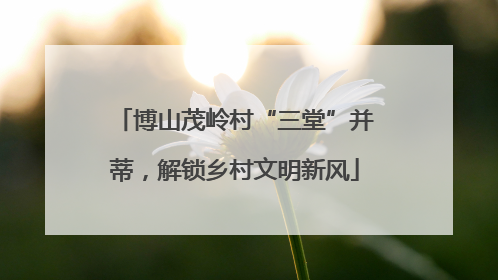 博山茂岭村“三堂”并蒂，解锁乡村文明新风