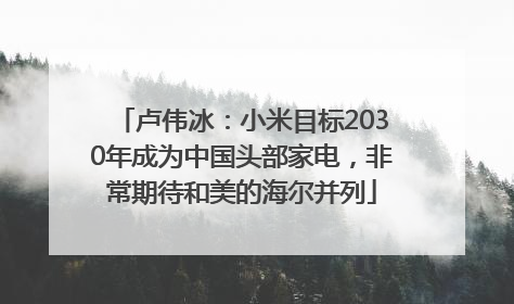 卢伟冰：小米目标2030年成为中国头部家电，非常期待和美的海尔并列