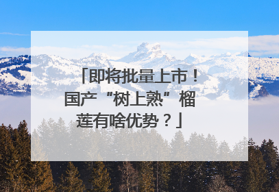 即将批量上市！国产“树上熟”榴莲有啥优势？