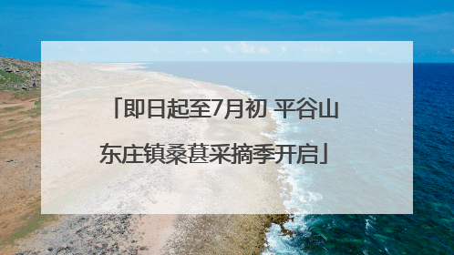 即日起至7月初 平谷山东庄镇桑葚采摘季开启