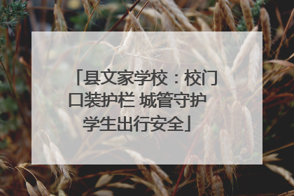 县文家学校：校门口装护栏 城管守护学生出行安全