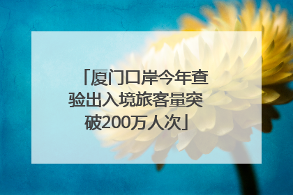 厦门口岸今年查验出入境旅客量突破200万人次