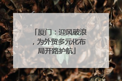 厦门：迎风破浪，为外贸多元化布局开路护航