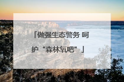 做强生态警务 呵护“森林氧吧”