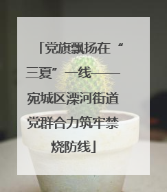 党旗飘扬在“三夏”一线——宛城区溧河街道党群合力筑牢禁烧防线