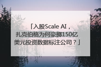 入股Scale AI，扎克伯格为何豪掷150亿美元投资数据标注公司？