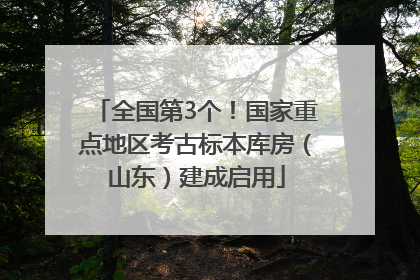 全国第3个！国家重点地区考古标本库房（山东）建成启用