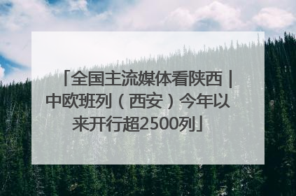 全国主流媒体看陕西｜中欧班列（西安）今年以来开行超2500列