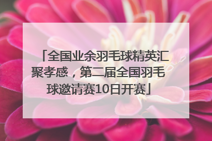 全国业余羽毛球精英汇聚孝感，第二届全国羽毛球邀请赛10日开赛