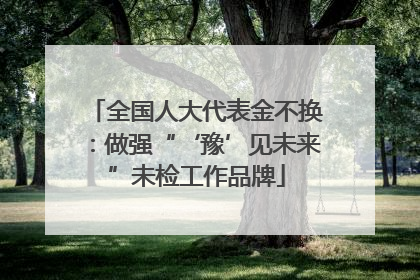 全国人大代表金不换：做强“‘豫’见未来”未检工作品牌