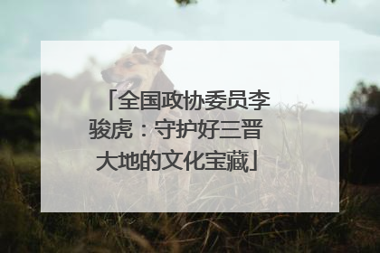 全国政协委员李骏虎：守护好三晋大地的文化宝藏
