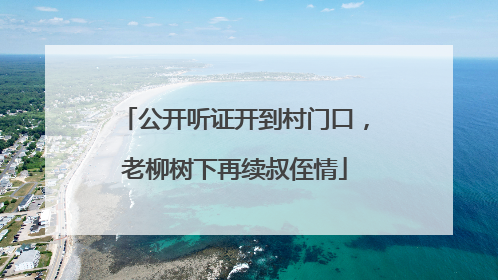 公开听证开到村门口，老柳树下再续叔侄情