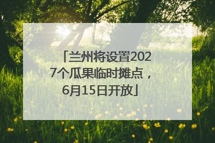 兰州将设置2027个瓜果临时摊点，6月15日开放