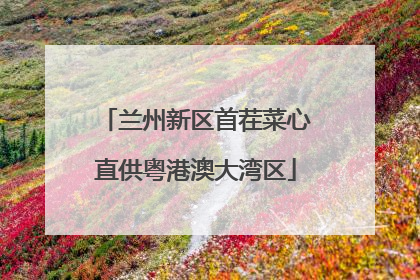 兰州新区首茬菜心直供粤港澳大湾区