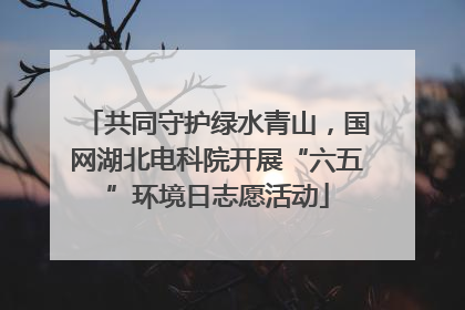 共同守护绿水青山，国网湖北电科院开展“六五”环境日志愿活动