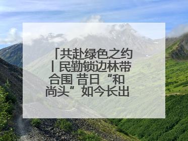 共赴绿色之约丨民勤锁边林带合围 昔日“和尚头”如今长出了“披肩发”