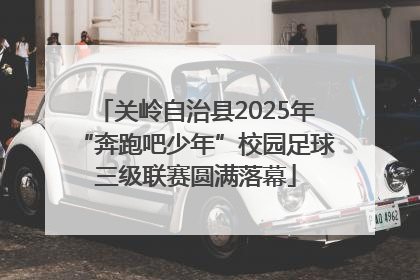 关岭自治县2025年“奔跑吧少年”校园足球三级联赛圆满落幕