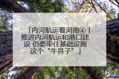 内河航运看河南④丨推进内河航运和港口建设 仍要牵住基础设施这个“牛鼻子”