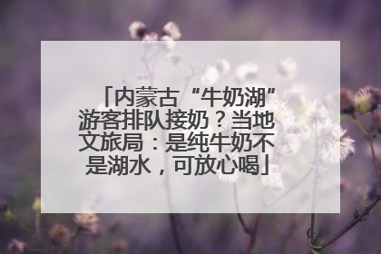 内蒙古“牛奶湖”游客排队接奶？当地文旅局：是纯牛奶不是湖水，可放心喝