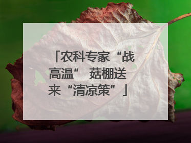 农科专家“战高温” 菇棚送来“清凉策”