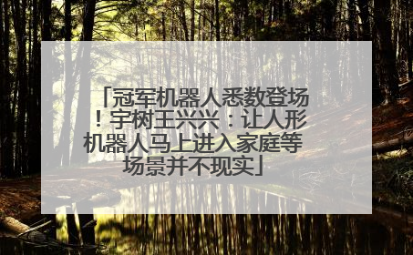冠军机器人悉数登场！宇树王兴兴：让人形机器人马上进入家庭等场景并不现实