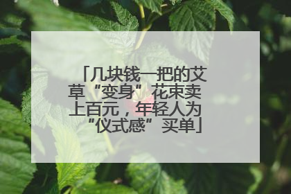 几块钱一把的艾草“变身”花束卖上百元，年轻人为“仪式感”买单