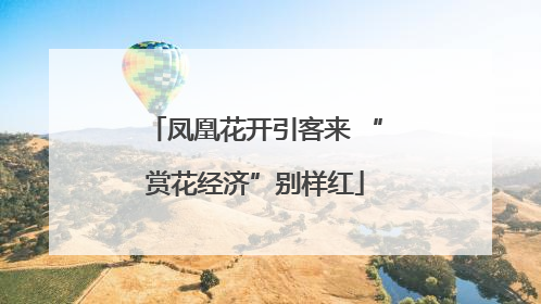 凤凰花开引客来 “赏花经济”别样红