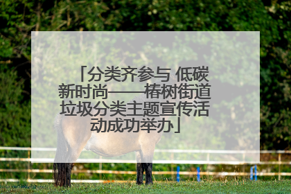 分类齐参与 低碳新时尚——椿树街道垃圾分类主题宣传活动成功举办