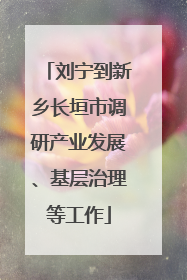 刘宁到新乡长垣市调研产业发展、基层治理等工作