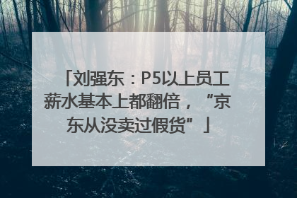 刘强东：P5以上员工薪水基本上都翻倍，“京东从没卖过假货”