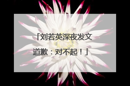刘若英深夜发文道歉：对不起！