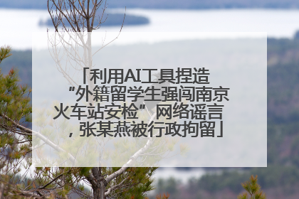 利用AI工具捏造 “外籍留学生强闯南京火车站安检”网络谣言，张某燕被行政拘留