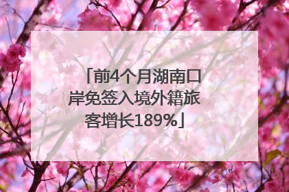 前4个月湖南口岸免签入境外籍旅客增长189%