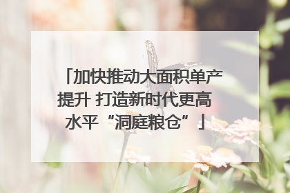 加快推动大面积单产提升 打造新时代更高水平“洞庭粮仓”