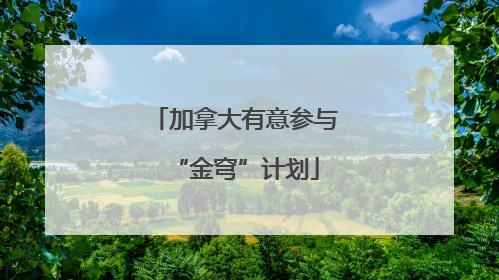 加拿大有意参与“金穹”计划