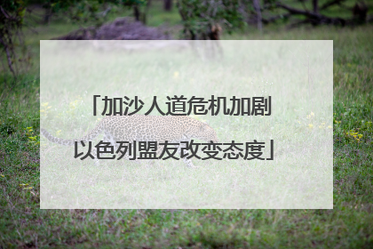 加沙人道危机加剧 以色列盟友改变态度