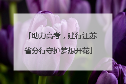助力高考，建行江苏省分行守护梦想开花