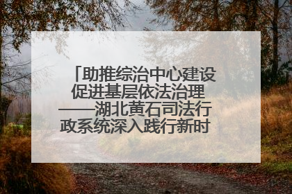 助推综治中心建设 促进基层依法治理——湖北黄石司法行政系统深入践行新时代枫桥经验