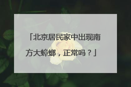 北京居民家中出现南方大蟑螂，正常吗？