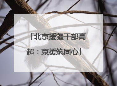 北京援疆干部高超：京援筑同心